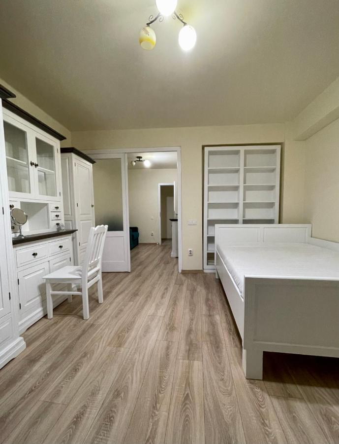 Cozy Central One Bedroom Cluj-Napoca Exterior photo